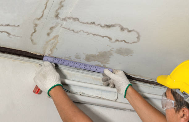 Reliable Structural Drying contractor in Andover, KS by Water Damage Irwin